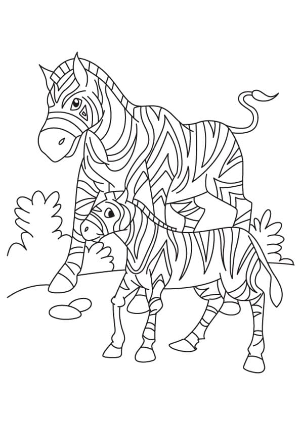 Ngựa Vằn Mẹ và Con