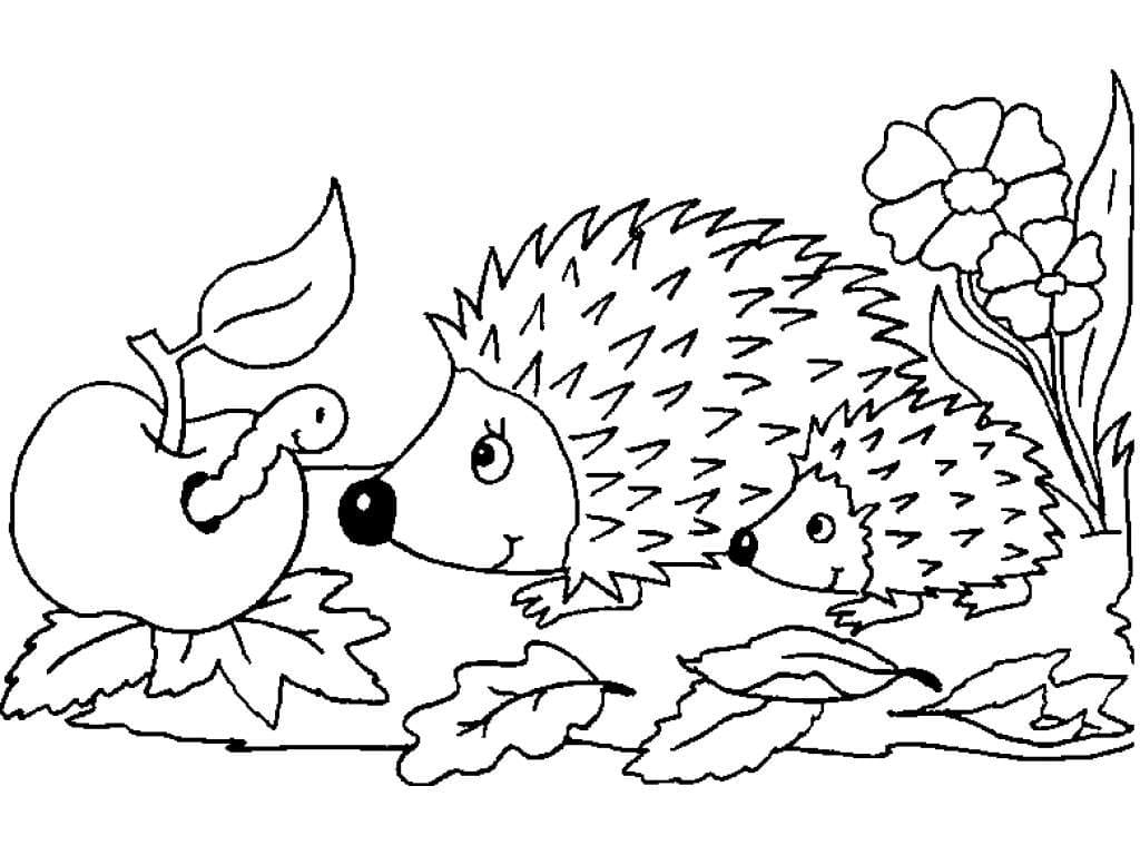 Nhím Mẹ và Nhím Con