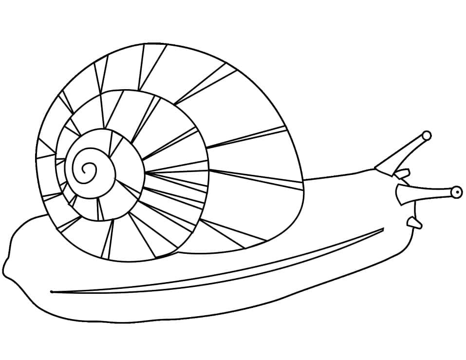 Ốc Sên Đơn Giản