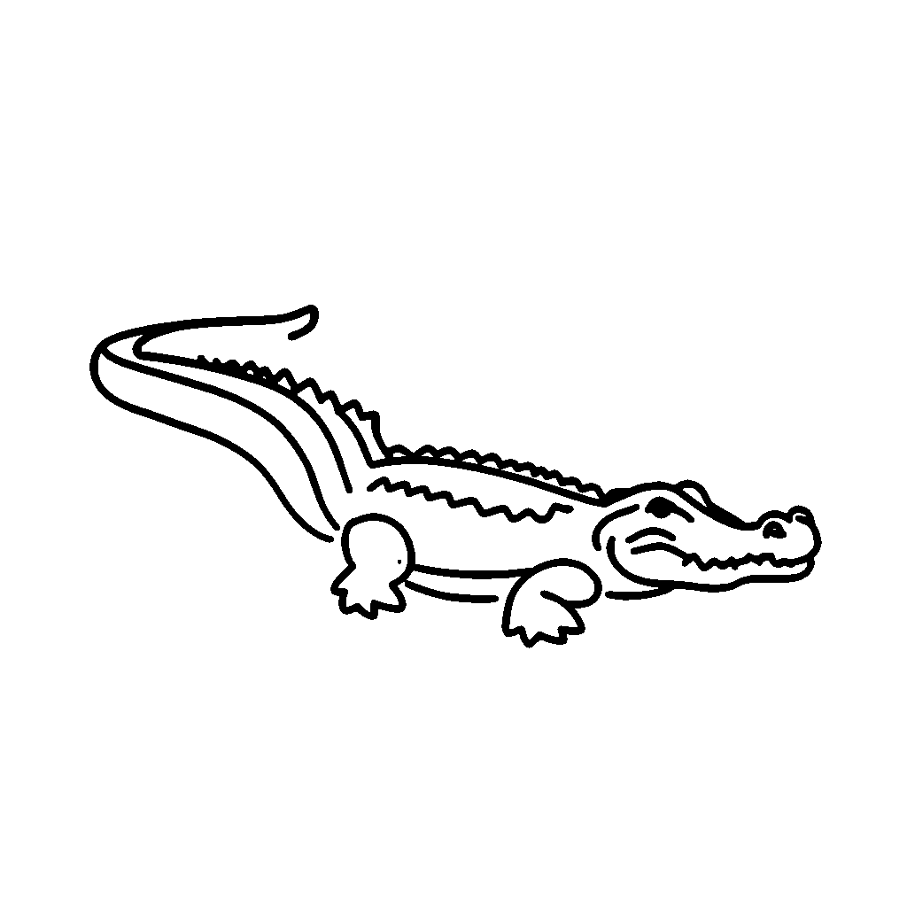 Phác Họa Con Cá Sấu