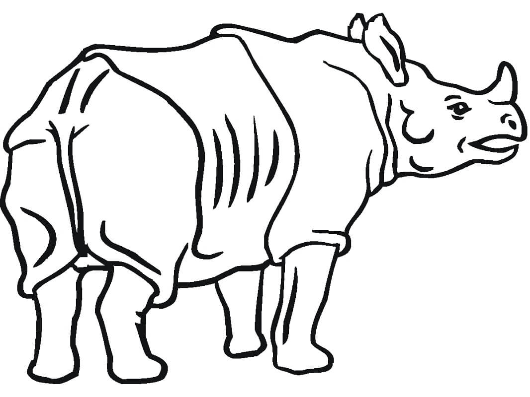 Con Tê Giác Hoang Dã