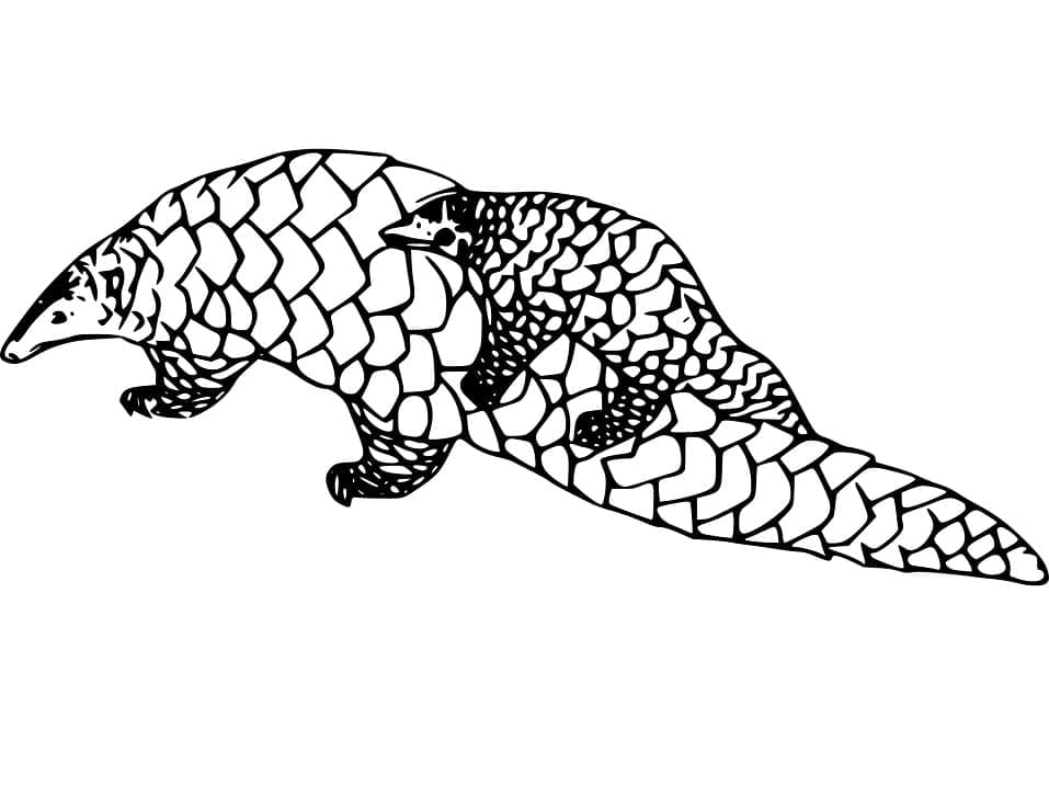 Tô Màu Con Tê Tê