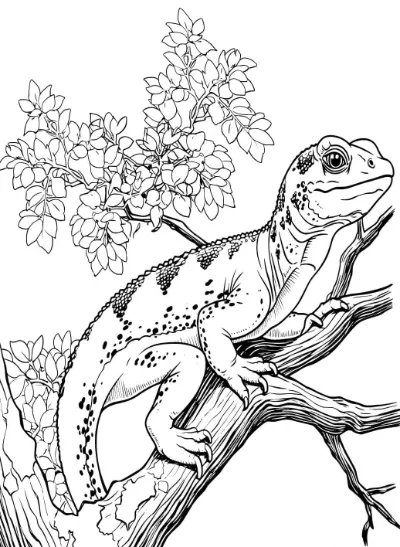 Thằn Lằn Ở Trên Cây