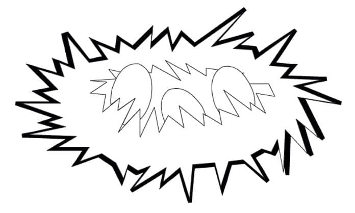 Tổ Chim Đơn Giản