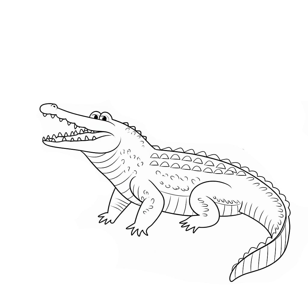 Tô Màu Cá Sấu