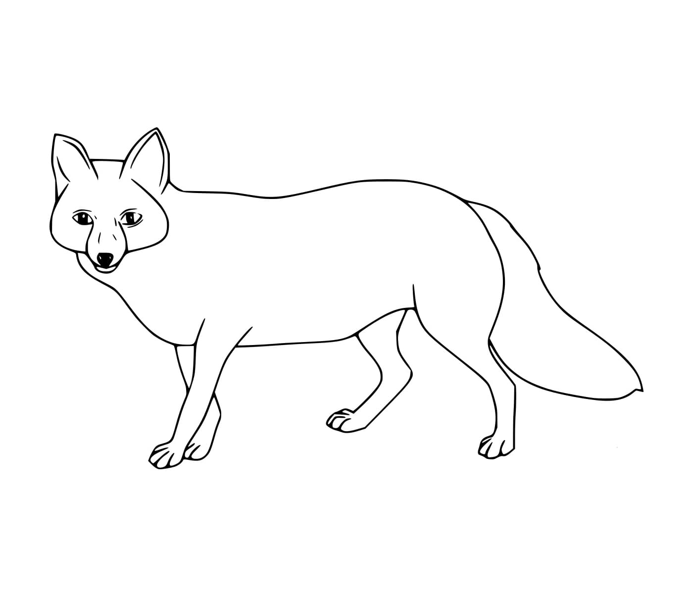 Vẽ Con Cáo Rất Đơn Giản