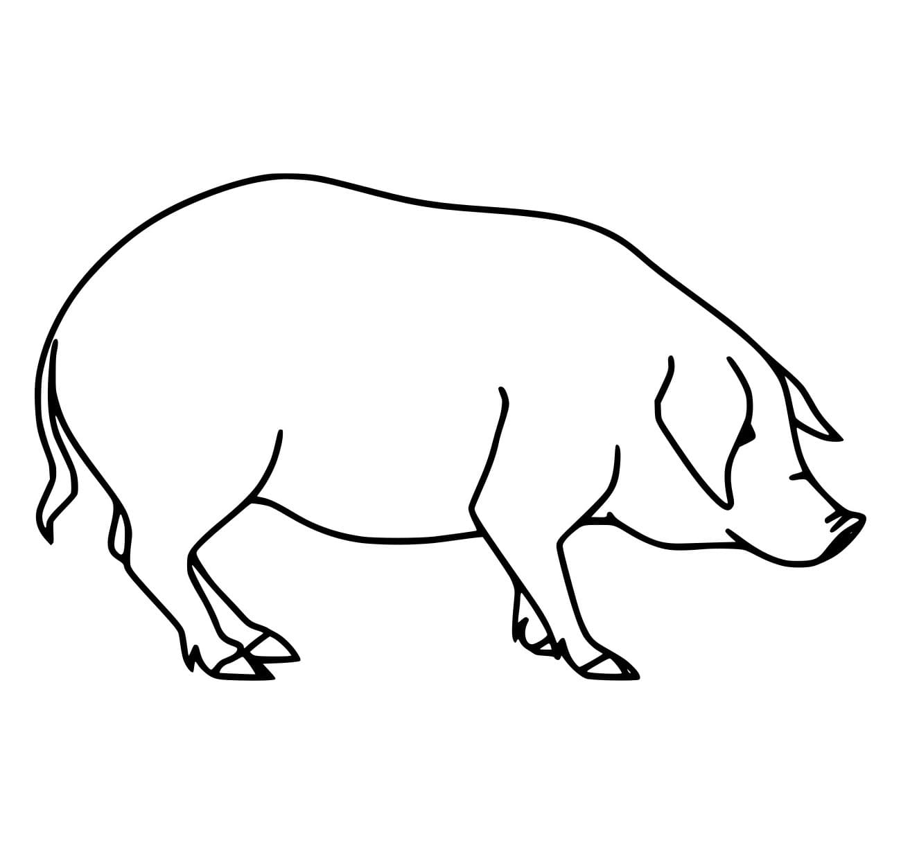 Vẽ Con Lợn Đơn Giản