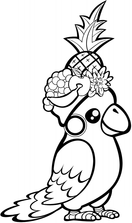 vẹt đội hoa quả