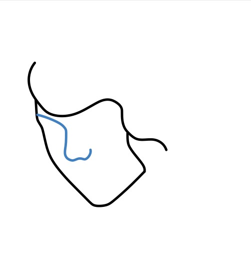 Hướng dẫn vẽ Taylor Swift đang mỉm cười. - Bước 3