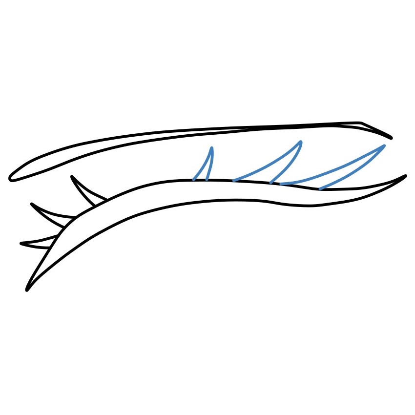 Hướng dẫn vẽ ánh Anime mắt sắc sảo - Bước 4