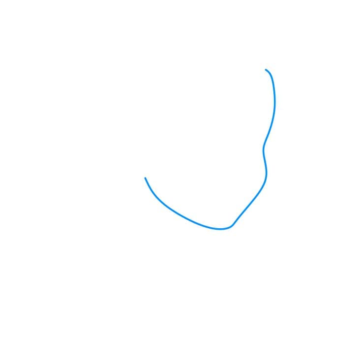 Hướng dẫn cách vẽ công chúa Belle đơn giản - Bước 1