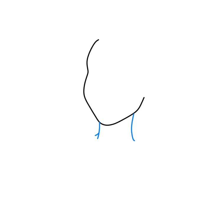 Hướng dẫn cách vẽ công chúa Belle chi tiết từng bước cho bé - Bước 2