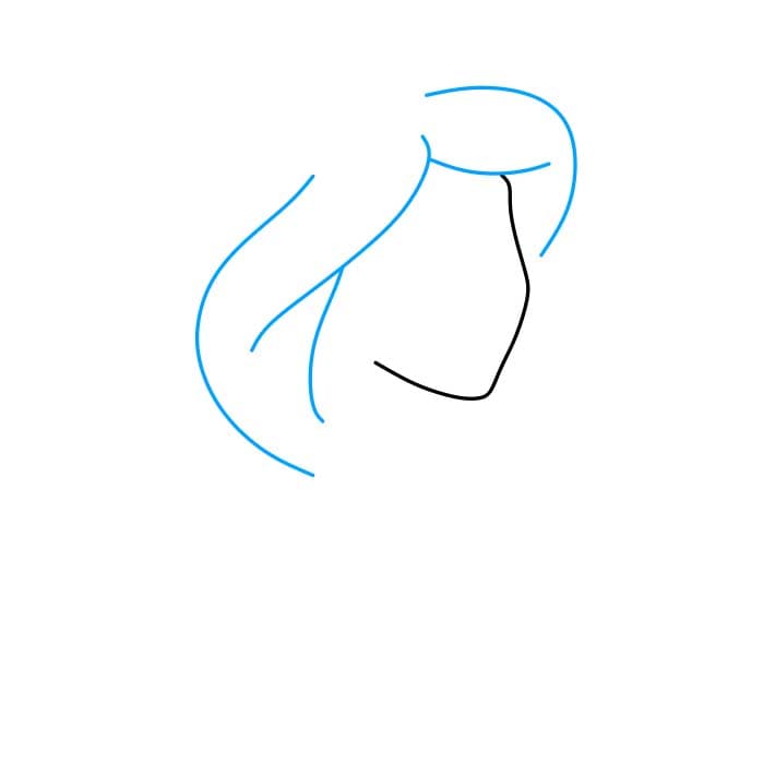 Hướng dẫn vẽ dễ dàng : công chúa Jasmine - Bước 2