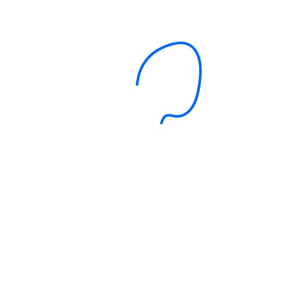 Hướng dẫn vẽ loài bạch tuộc khổng lồ - Bước 1