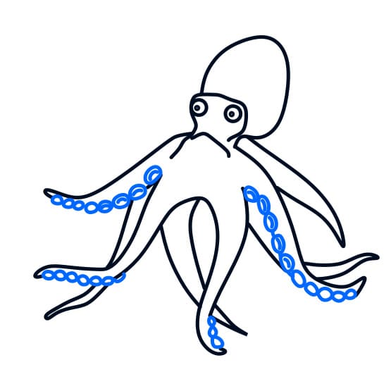 Hướng dẫn vẽ loài bạch tuộc khổng lồ - Bước 4