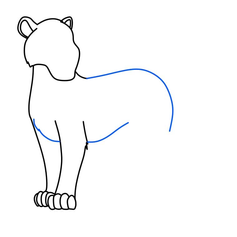 Hướng dẫn cách vẽ báo đốm đơn giản và đẹp cho bé - Bước 4