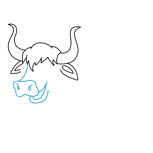 Hướng dẫn cách vẽ chú bò Tây Tạng đơn giản và đẹp cho bé - Bước 3