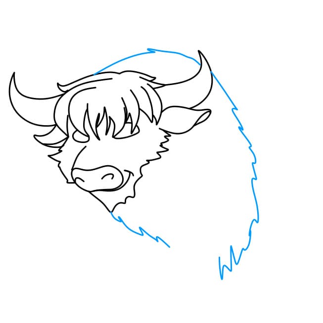 Hướng dẫn cách vẽ chú bò Tây Tạng đơn giản và đẹp cho bé - Bước 5