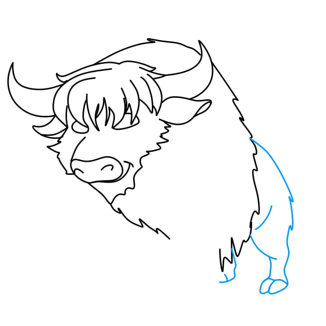 Hướng dẫn cách vẽ chú bò Tây Tạng đơn giản và đẹp cho bé - Bước 6