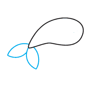 Hướng dẫn cách vẽ con cá heo đơn giản và dễ thương cho bé - Bước 3