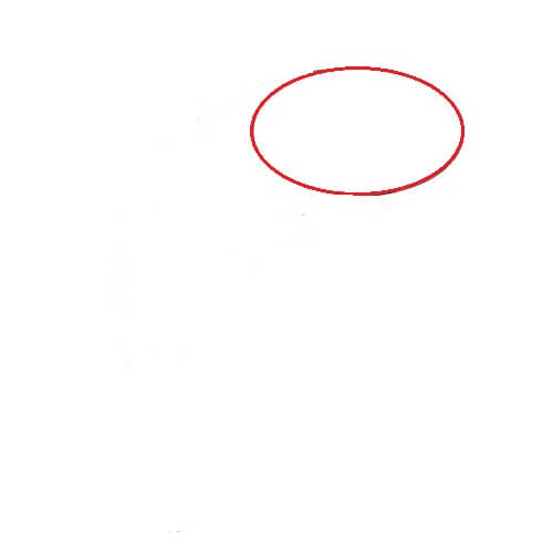 Hướng dẫn cách vẽ cá heo ngộ nghĩnh và thật đẹp cho bé - Bước 1