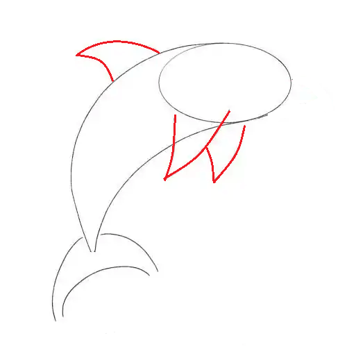 Hướng dẫn cách vẽ cá heo ngộ nghĩnh và thật đẹp cho bé - Bước 4