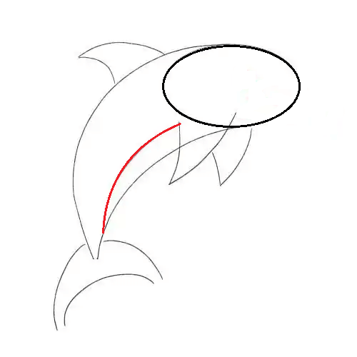 Hướng dẫn cách vẽ cá heo ngộ nghĩnh và thật đẹp cho bé - Bước 5