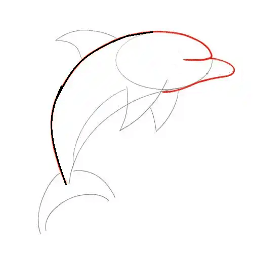 Hướng dẫn cách vẽ cá heo ngộ nghĩnh và thật đẹp cho bé - Bước 6