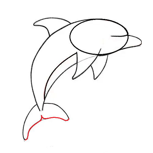 Hướng dẫn cách vẽ cá heo ngộ nghĩnh và thật đẹp cho bé - Bước 7