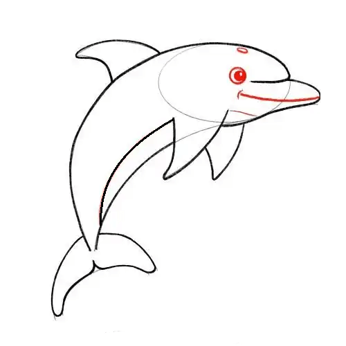 Hướng dẫn cách vẽ cá heo ngộ nghĩnh và thật đẹp cho bé - Bước 8