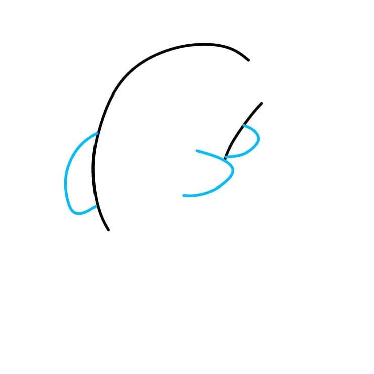 Hướng dẫn vẽ dễ dàng : Cá heo - Bước 2