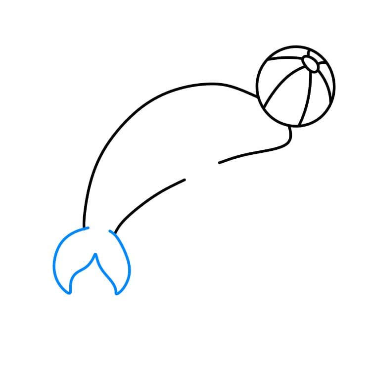 Hướng dẫn cách vẽ cá heo chi tiết từng bước cho bé - Bước 3