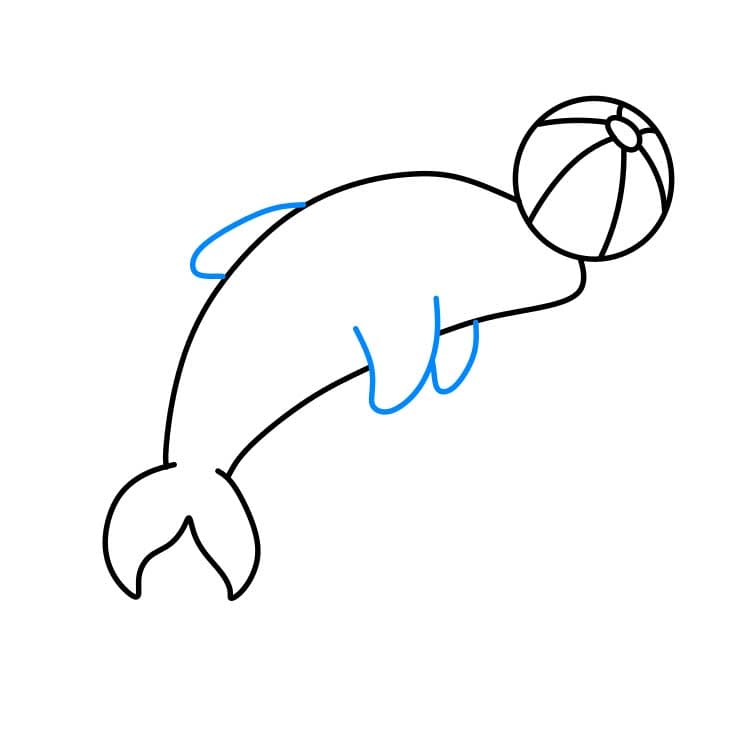 Hướng dẫn cách vẽ cá heo chi tiết từng bước cho bé - Bước 4