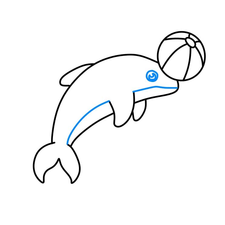 Hướng dẫn cách vẽ cá heo chi tiết từng bước cho bé - Bước 5