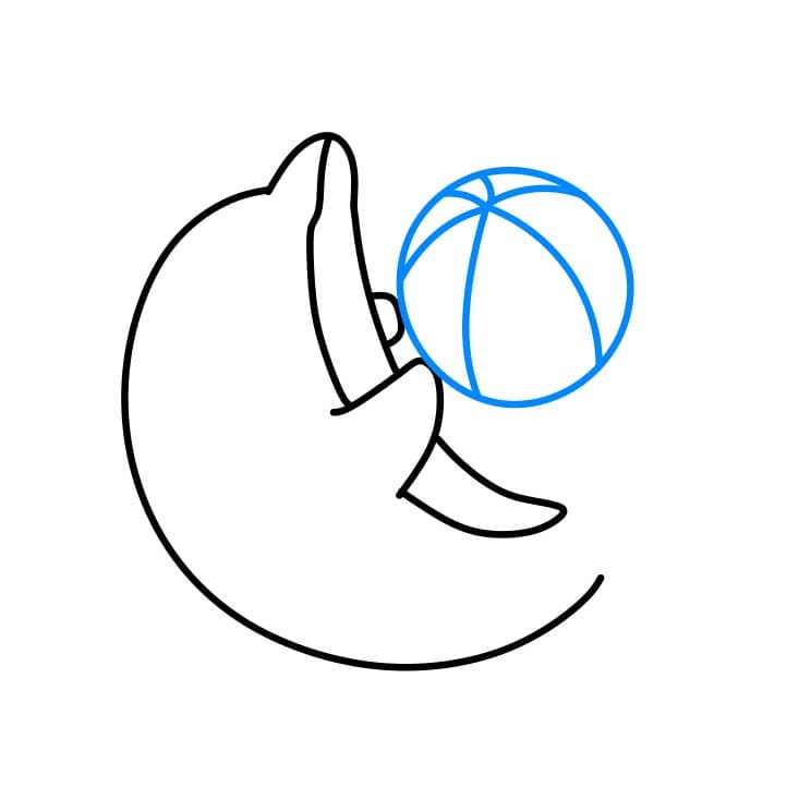 Hướng dẫn vẽ cá heo đang chơi cùng quả bóng cho bé - Bước 3