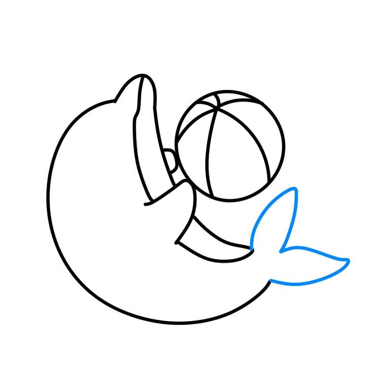 Hướng dẫn vẽ cá heo đang chơi cùng quả bóng cho bé - Bước 4