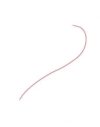 Hướng dẫn cách vẽ cá koi đơn giản và đẹp cho bé - Bước 1