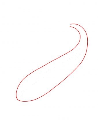 Hướng dẫn cách vẽ cá koi đơn giản và đẹp cho bé - Bước 2