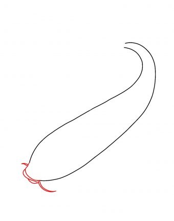 Hướng dẫn cách vẽ cá koi đơn giản và đẹp cho bé - Bước 3