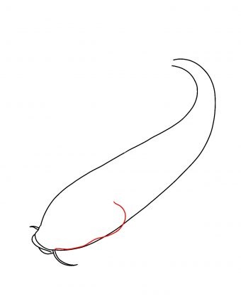 Hướng dẫn cách vẽ cá koi đơn giản và đẹp cho bé - Bước 4