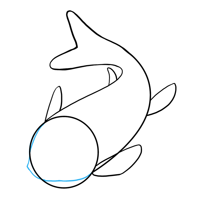 Hướng dẫn cách vẽ cá koi từng bước chi tiết thật đẹp cho bé - Bước 5