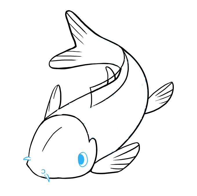 Hướng dẫn cách vẽ cá koi từng bước chi tiết thật đẹp cho bé - Bước 8