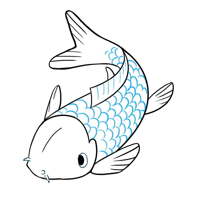 Hướng dẫn cách vẽ cá koi từng bước chi tiết thật đẹp cho bé - Bước 9