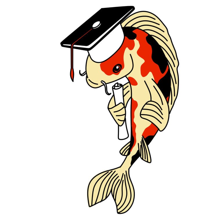 Hướng dẫn vẽ chú cá koi đi tốt nghiệp