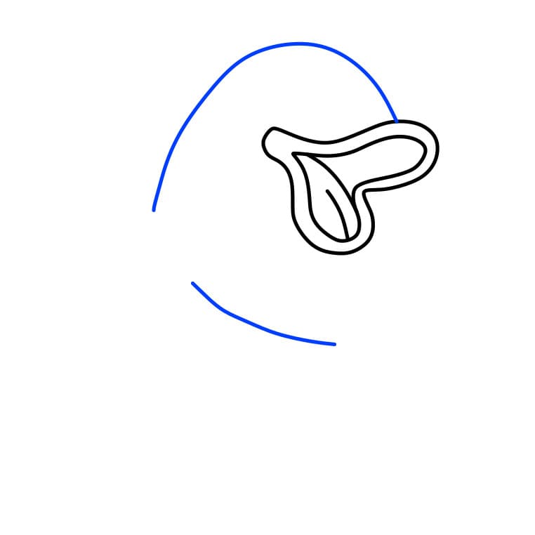 Hướng dẫn vẽ chú cá Koi vui nhộn - Bước 2