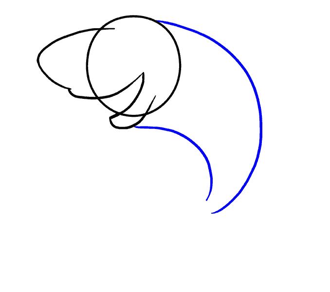 Hướng dẫn cách vẽ con cá mập đơn giản cho bé - Bước 3