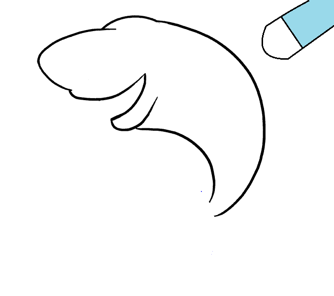 Hướng dẫn cách vẽ con cá mập đơn giản cho bé - Bước 4