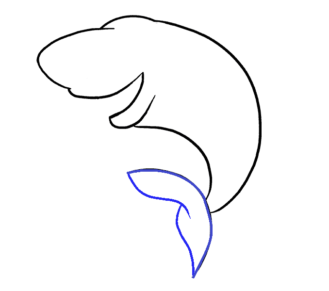 Hướng dẫn cách vẽ con cá mập đơn giản cho bé - Bước 5