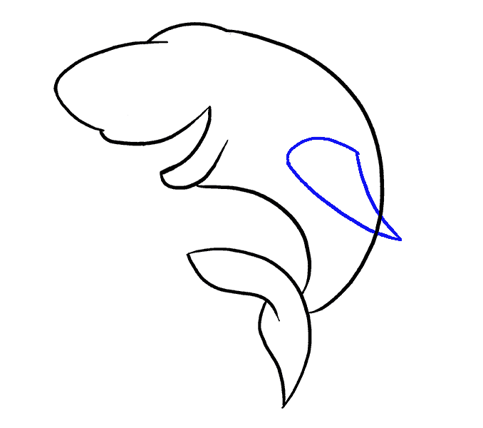 Hướng dẫn cách vẽ con cá mập đơn giản cho bé - Bước 6