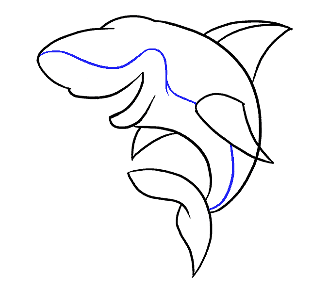 Hướng dẫn cách vẽ con cá mập đơn giản cho bé - Bước 7